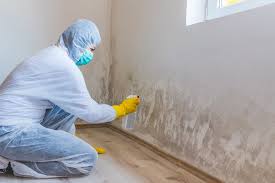 Best Real Estate Mold Inspection in Rockledge, PA